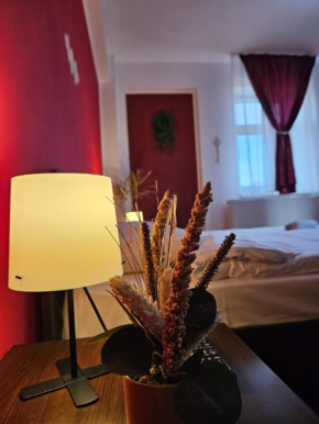 Apartament Zarnesti City Centre VMP